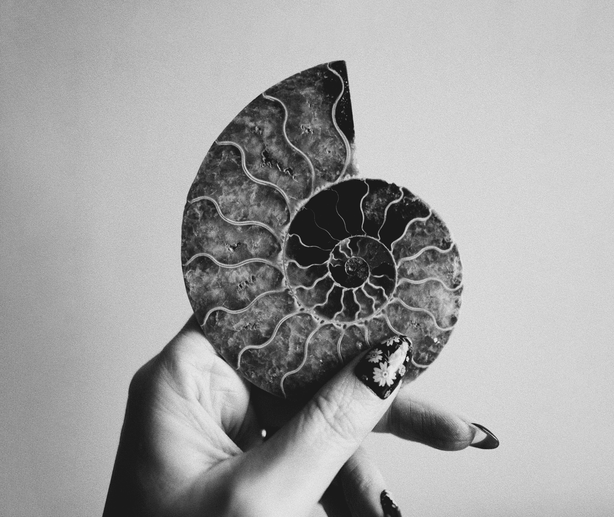 Media Platforms and Strategies.